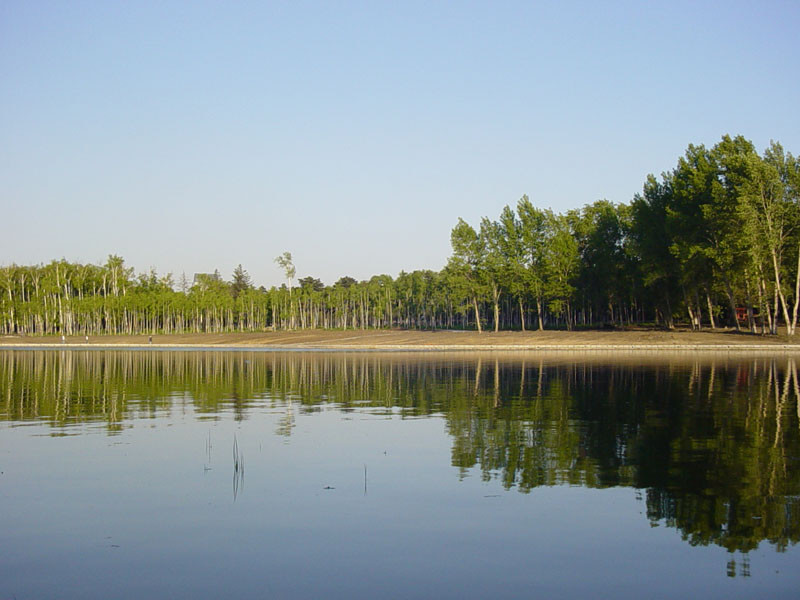 唐山南湖公園