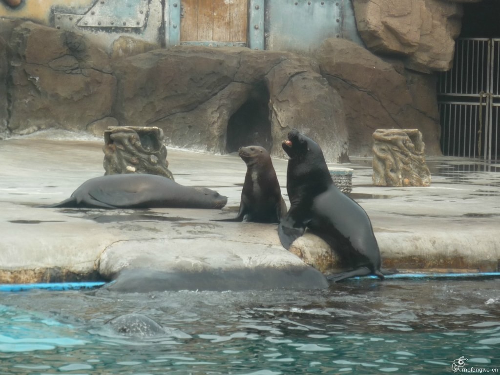 老虎灘海獸館